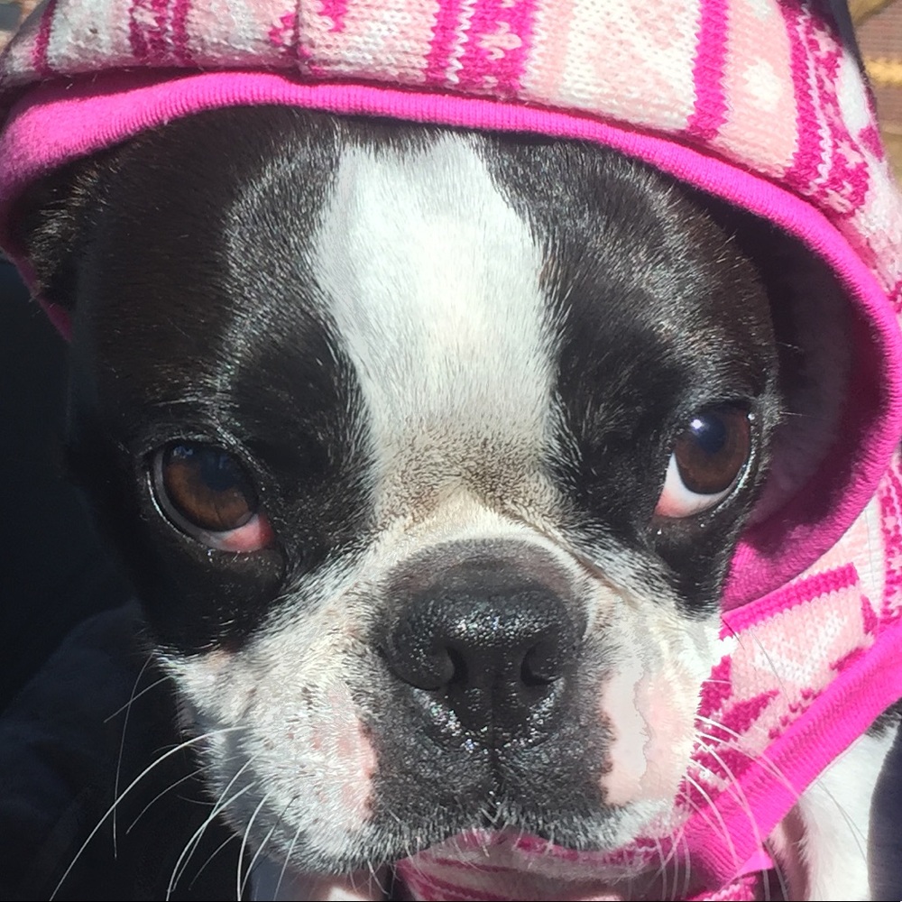 Meet your Posher, Ella